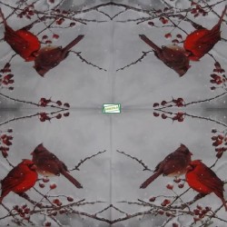 1serviette papier Oiseaux-61