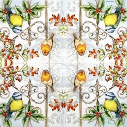 1serviette papier Oiseaux-67
