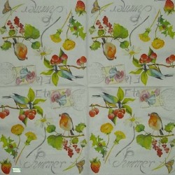 1serviette papier Oiseaux-100