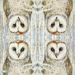 1 serviette La chouette -124