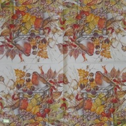 1serviette papier Oiseaux-131