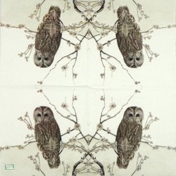 1 serviette La chouette -141