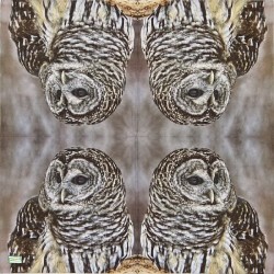 1 serviette La chouette -153