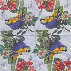 1 serviette Le perroquet-157