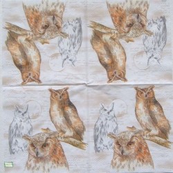 1 serviette Les chouettes -166