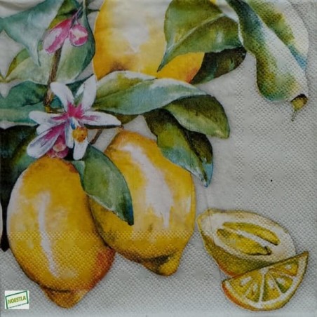 1serviette papier Citrons-18