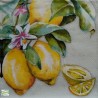 1serviette papier Citrons-18
