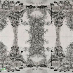1serviette papier Paris -15