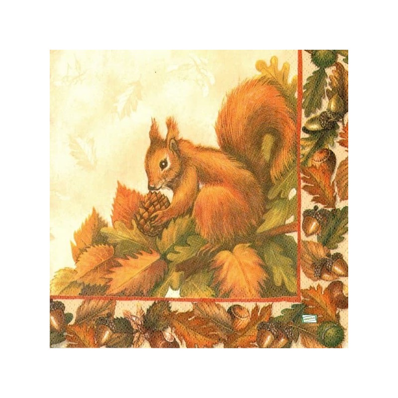1serviette papier Ecureuil-10