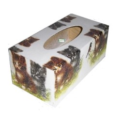 Boite Mouchoirs Châtons serviettage