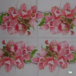 1 serviette Les Fuschias -37