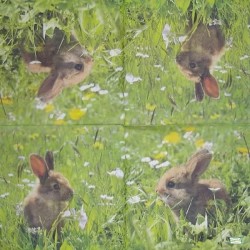 1serviette papier Le Lapin-57