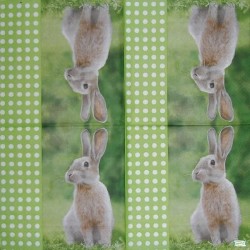 1serviette papier Le Lapin-71