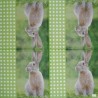 1serviette papier Le Lapin-71