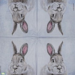 1serviette papier Le Lapin-2