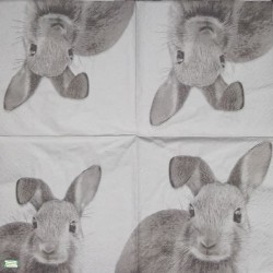 1serviette papier Le Lapin-20