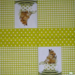 1serviette papier Le Lapin-30
