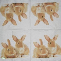 1serviette papier Lapins-34