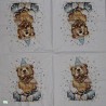 1 serviette papier Ourson -24