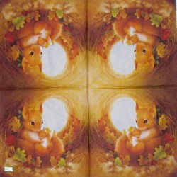 1 serviette L' écureuil -30