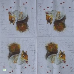 1 serviette L' écureuil -57