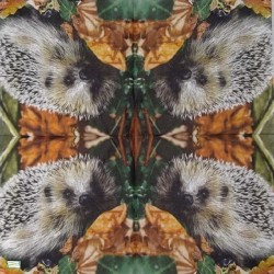 1 serviette Le Hérisson -75