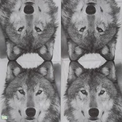 1serviette papier Le Loup-80
