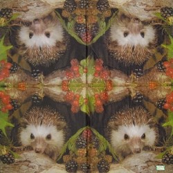 1 serviette Le Hérisson -93