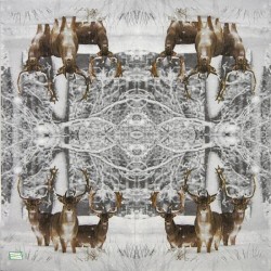 1 serviette Les Cerfs -112