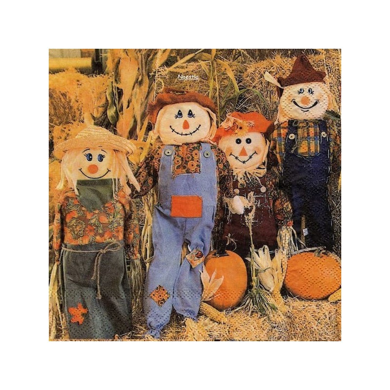 1serviette papier Divers-69