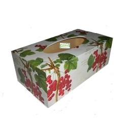 Boite mouchoirs Groseilles serviettage