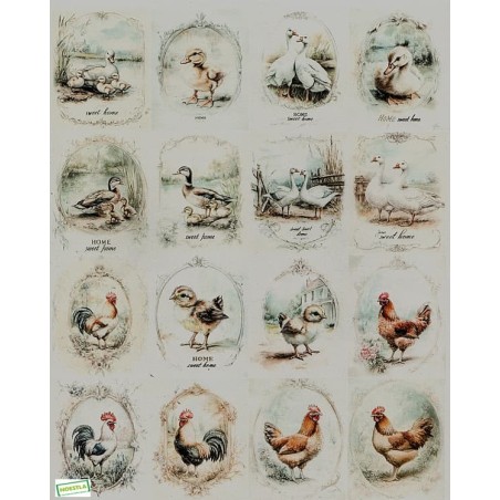 1papier riz Oiseaux-R1413L