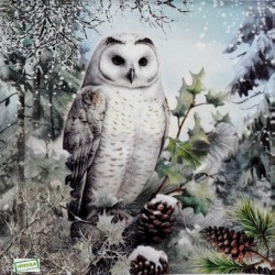 1 serviette La chouette -79