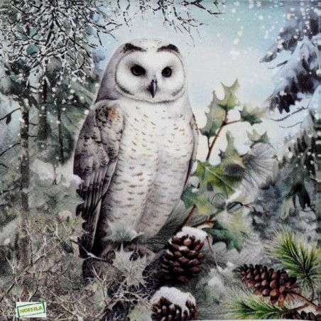1 serviette La chouette -79