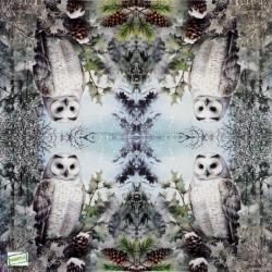 1 serviette La chouette -79