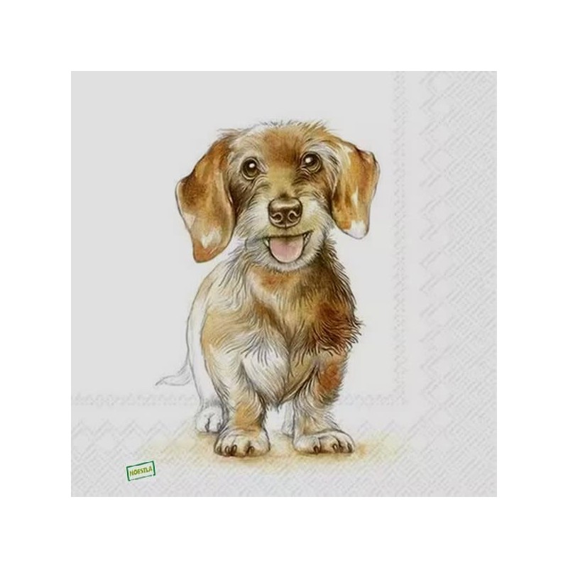 1serviette papier Chien-45