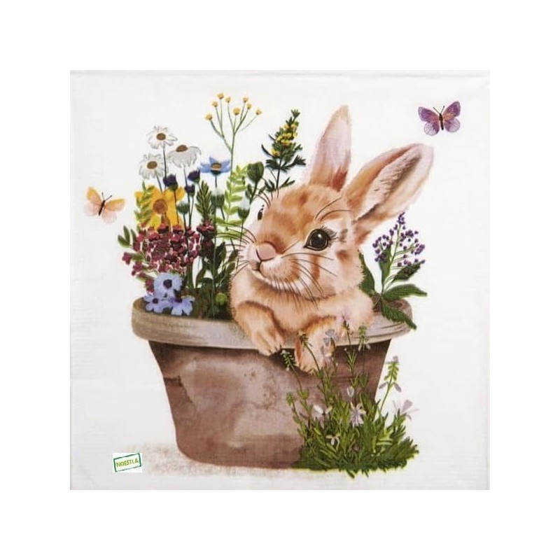 1serviette papier Le Lapin-21