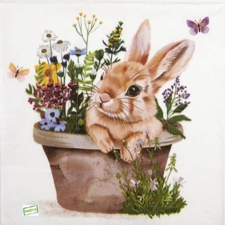 1serviette papier Le Lapin-21