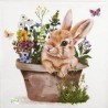 1serviette papier Le Lapin-21