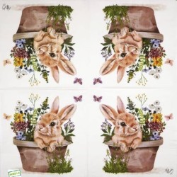 1serviette papier Le Lapin-21