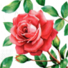 20 serviettes Les Roses-L42