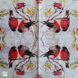 1 serviette Les oiseaux -56