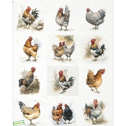 1papier riz Oiseaux-R1185L