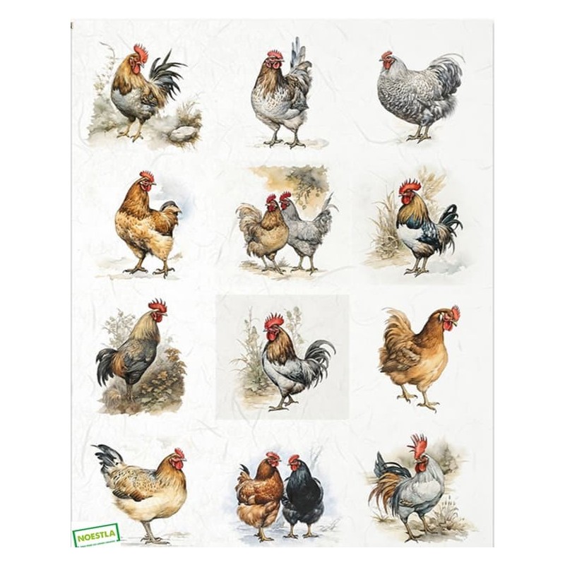 1papier riz Oiseaux-R1185L