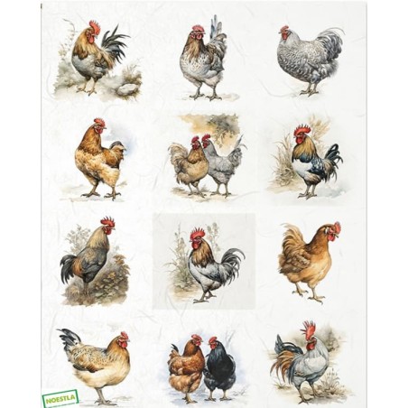 1papier riz Oiseaux-R1185L