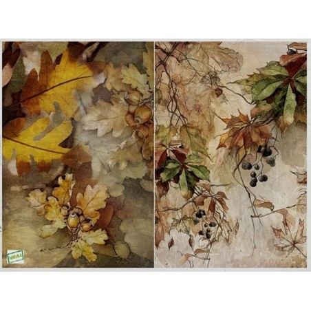 1papier de riz Paysage-R2302