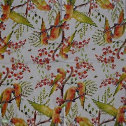 1serviette papier Perruches-9