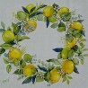 1serviette papier Citrons-61