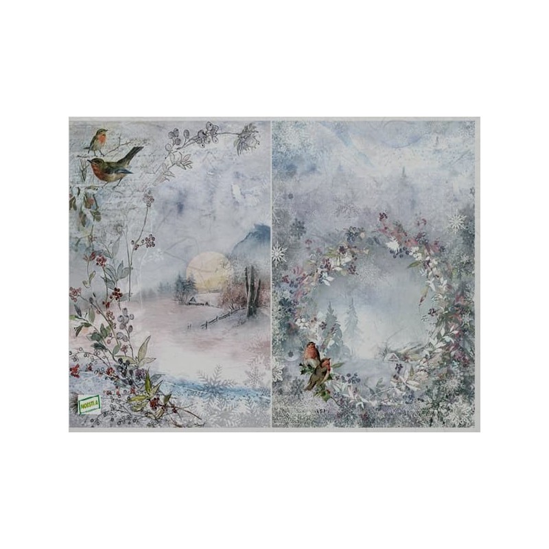 1papier de riz Oiseaux-R1971