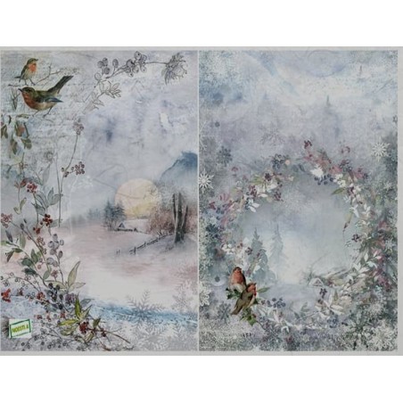 1papier de riz Oiseaux-R1971